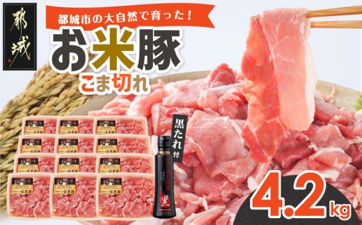 
「お米豚」こま切れ4.2kg(黒たれ付)_AC-3105_(都城市) 小分け 350g×12パック 豚肉 国産豚 宮崎県産豚 銘柄豚 モンドセレクション金賞受賞 オリジナル焼肉 豚丼のタレ付き
