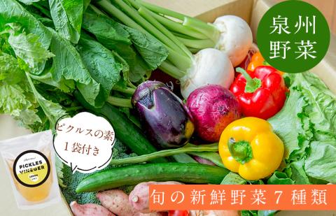 季節の泉州野菜 7種 おまかせセット ピクルスの素 1袋付き