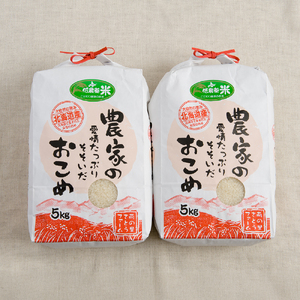 先行予約　【9ヵ月定期便】北海道南るもい産　ななつぼし(白米)5kg×2袋 R011-049