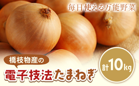 十勝 電子技法栽培たまねぎ 約10kg 橋枝物産　北海道　浦幌町《10月上旬から順次出荷》