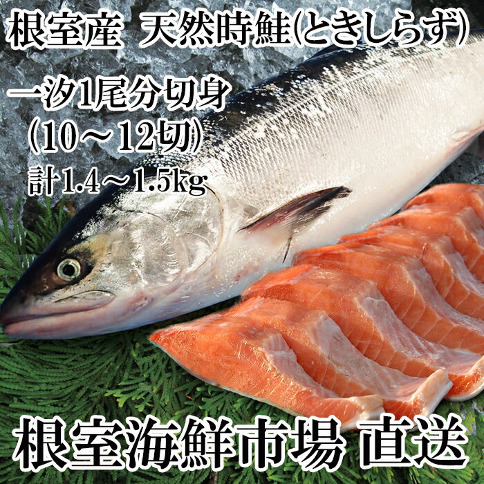 【ふるさと納税】[北海道根室産]無添加天然時鮭(トキシラズ)1尾分切身(10～12切) B-14121