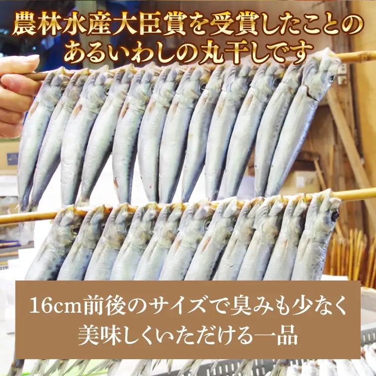 いわしの丸干し（８尾）４セット|イワシ 魚  干し魚 受賞 食品 推奨マーク 茨城県 北茨城市（BH009）