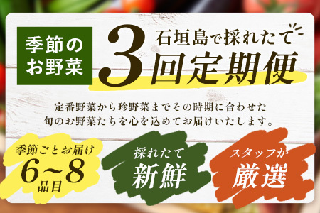 石垣島産 野菜BOX【３回定期便】（６~８種類）季節ごとに野菜パワーをあなたに！！CK-2 【野菜セット おまかせセット 旬 季節のお野菜 旬の野菜セット 詰め合わせ 定期便 ３回 定番野菜 島野菜 