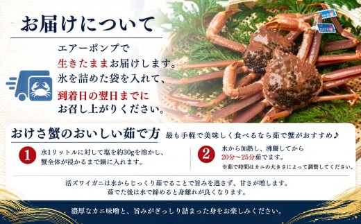 活本ズワイガニ「おけさ蟹」Lサイズ 1尾（1尾あたり約600g） | 新潟県 佐渡産 本ズワイガニ おけさ蟹 活蟹 活き蟹 ズワイガニ カニ 蟹 かに 海鮮 魚介 魚介類 佐渡市  新潟県産カニ 佐渡