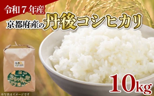 【令和7年産 】京都府産 丹後コシヒカリ 10kg ( お米 10キロ 米 こめ 白米 国産 ブランド米 取り寄せ 京都 ごはん コシヒカリ こしひかり 2025年度 JA JA京都 京都府産 京都府