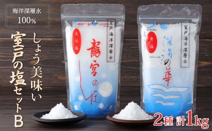 しょう美味い室戸の塩セットＢシオ しお 調味料 塩分 熱中症対策 防災 天日塩 おにぎり 天ぷら フライドポテト BBQ