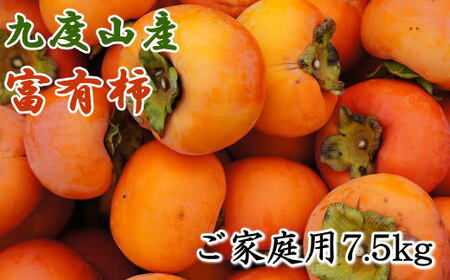 果物 くだもの フルーツ 柿 / ≪柿の名産地≫九度山の富有柿約7.5kgご家庭用＜2024年11月上旬～2024年12月上旬頃に順次発送＞ 【tec413A】