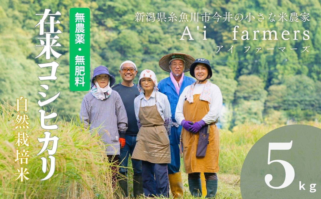 
            【令和7年産】自然栽培米 『 在来コシヒカリ 』 5kg 新潟県 糸魚川市産 無農薬 無化学肥料米 安心 安全 美味しいお米 新潟米 今井産 アイファーマーズ 今摺り米 精米 白米【こしひかり おにぎり お弁当 におすすめ お米 おこめ コメ ご飯 ライス ふるさと納税米 ブランド米 令和7年産 2025年 5キロ】
          