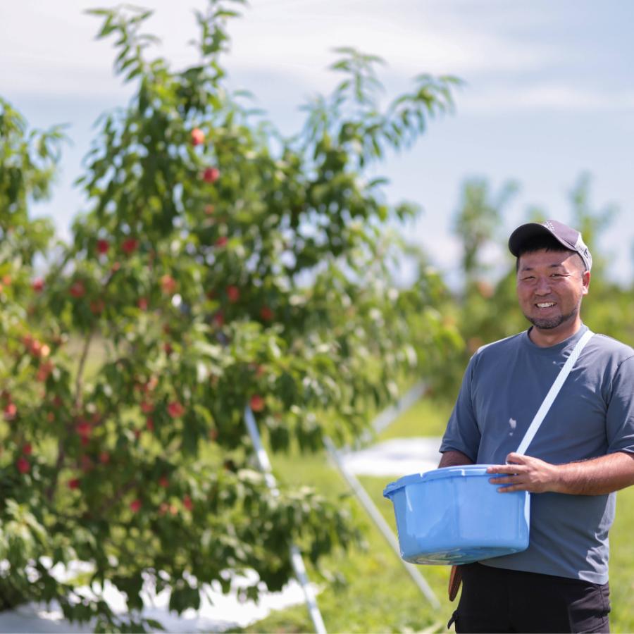 ＜晴れの実り。とかちもも＞白桃＆黄桃【優品】2kg