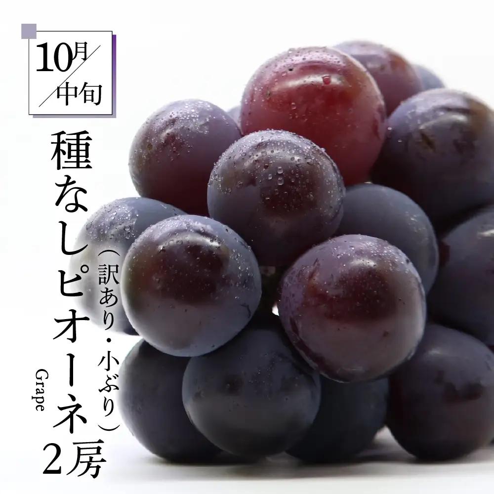 【2026年7月発送開始】 フルーツ定期便 5回 ジュース入り 訳あり品含む | フルーツ定期便
