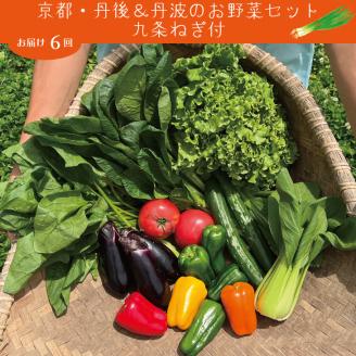 【定期便】合計6回お届け 九条ねぎ & 野菜詰め合わせ 有機野菜・京野菜の『京都やおよし』亀岡・京丹後産 オーガニック 有機JAS 栽培期間農薬不使用 ※着日指定不可 ※北海道・沖縄・離島への配送不可