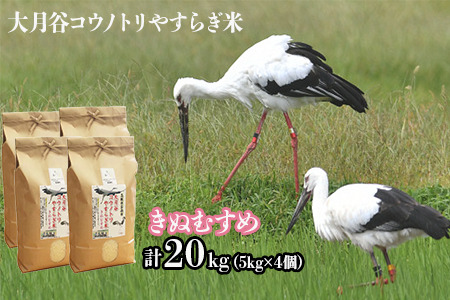 島根県雲南市「大月谷コウノトリやすらぎ米」きぬむすめ20kg（5kg×4）