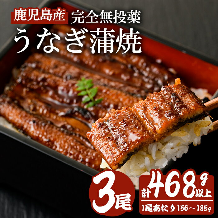 【ふるさと納税】鹿児島産うなぎ蒲焼(無頭) (計468g以上・156g～185g×3尾) 鰻 ウナギ 蒲焼き 養殖 たれ付 真空パック 湯煎 レンジ 簡単調理 国産 曽於市 鹿児島県【株式会社財宝】