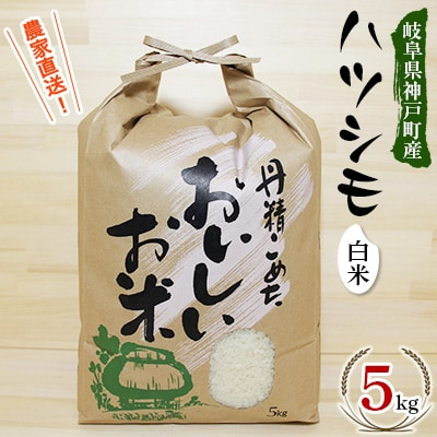 
＜令和5年産＞岐阜県神戸町:農家直送!岐阜ハツシモ　白米　5kg【1354301】
