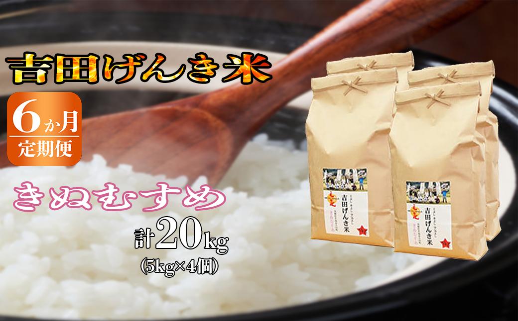 
【定期便6か月連続お届け】「吉田げんき米」きぬむすめ20kg（5kg×4）【島根県産 雲南市産 ブランド米 米 お米 白米 コメ こめ おこめ ライス 精米 ふっくら ツヤツヤ 炊き立て 甘い 美味しい 家庭用 ふるさと ご飯 おうちご飯 袋 自然 天然 送料無料 定番 朝食 昼食 夜食】
