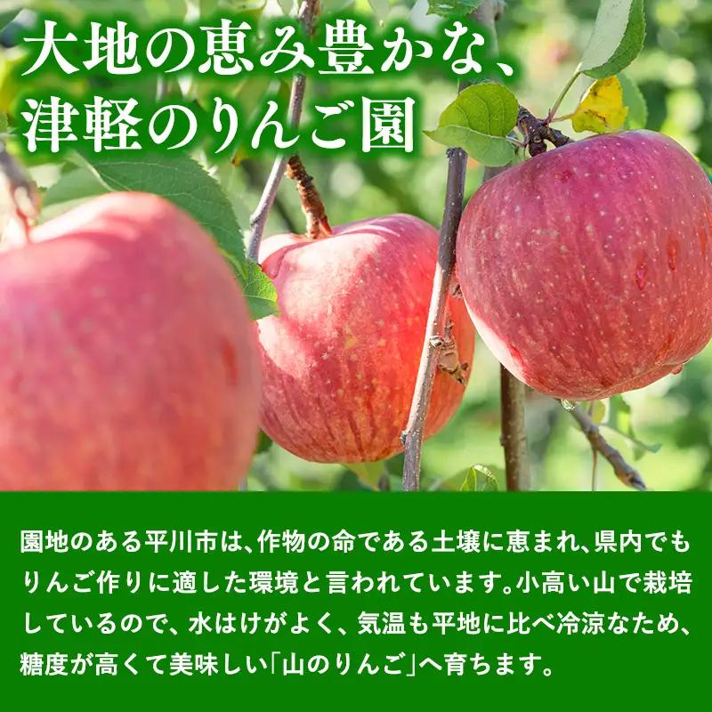 りんご 山の完熟サンふじ・シナノゴールド 約5kg 青森県平川市 りんご