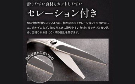関孫六　鍛造オールステンレスキッチン鋏 ◇貝印◇ 食洗機OK  H15-05