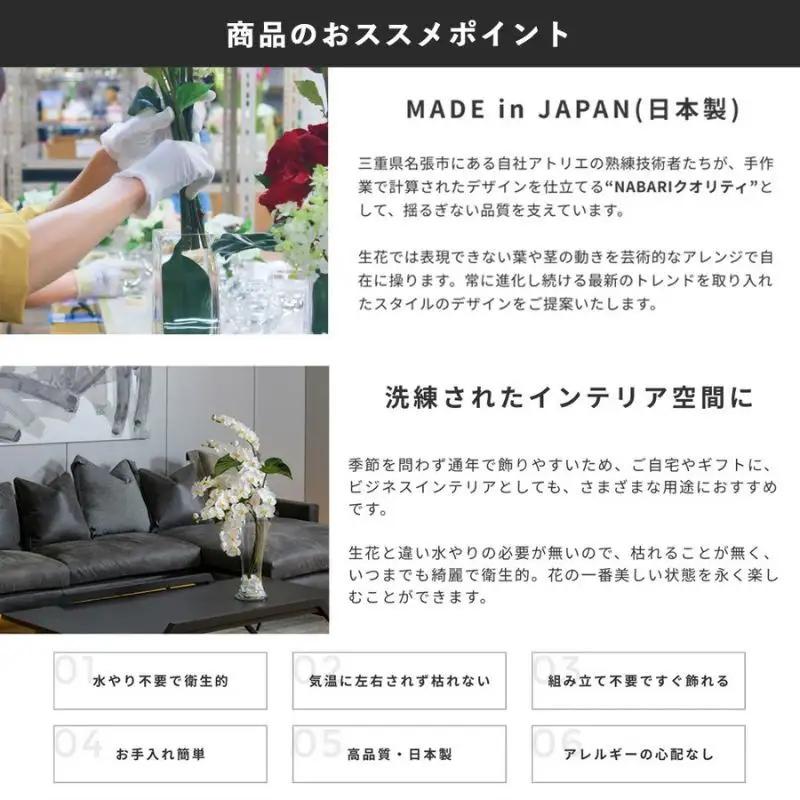 エミリオロバ　ユーチャリス2点セット　ユーチャリス3W24・S24  2点セット