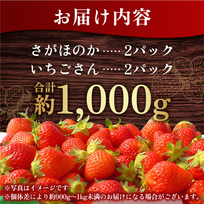 【1月中旬〜2月中旬発送】佐賀県自慢の2種！さがほのか＆いちごさん 平パック4P 約1kg いちご 果物 旬 イチゴ 苺 フルーツ 佐賀県産 佐賀産 佐賀 吉野ヶ里町/リエンサーク [FCC004]