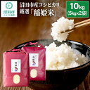 【ふるさと納税】令和6年産 コシヒカリ厳選「稲姫米」10kg（5kg×2袋）精米 白米 こしひかり