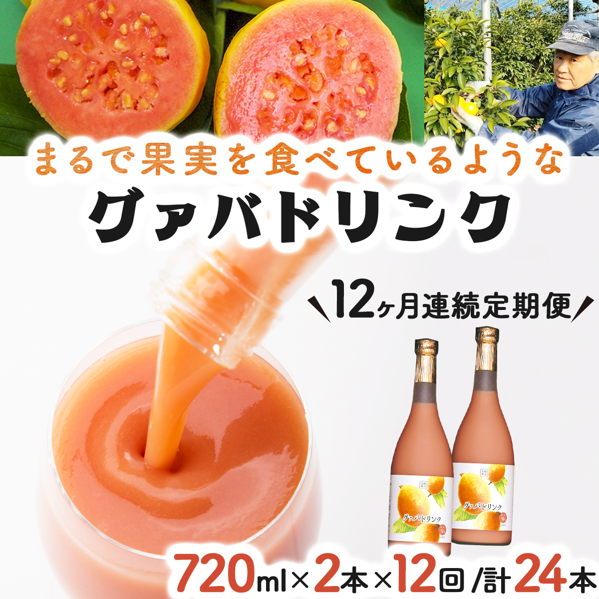 KU111 【定期便・全12回】まるで果実を食べているような！グァバドリンク２本セット(各720ml)×12回【宮崎果汁】