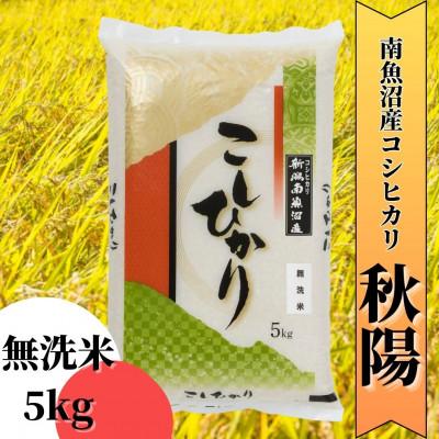 ふるさと納税 南魚沼市 【令和7年産 】南魚沼産コシヒカリ「秋陽」(無洗米5kg)新潟県の特A地区の美味しいお米