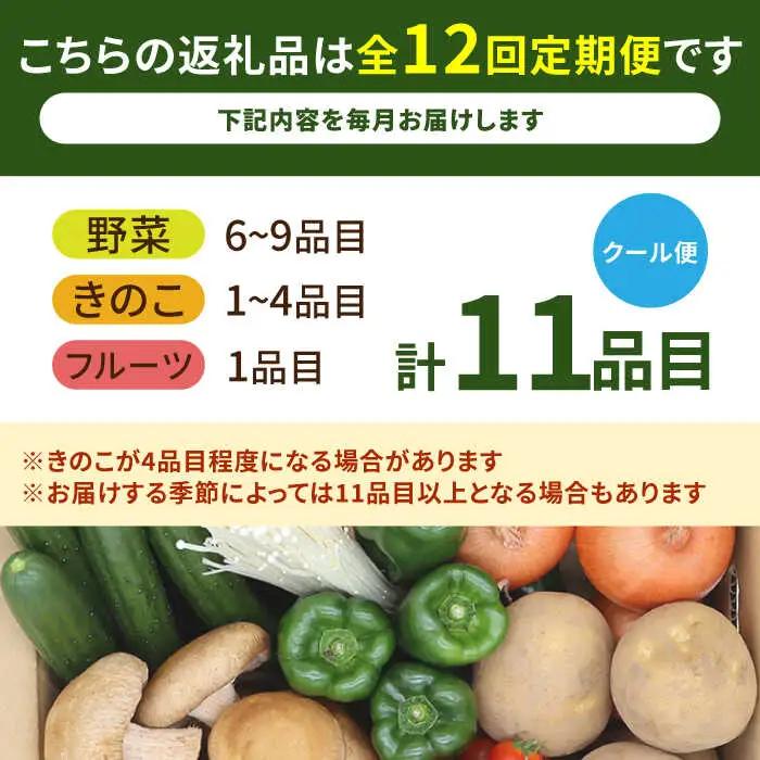 【12回定期便】野菜定期便11品目 [SCZ007]