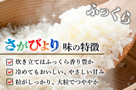【連続特A受賞米】佐賀県基山町の米・令和7年産 さがびより(精米)3kg〈生産者直送〉【米 ブランド米 特A 冷めても美味い 3kg ふるさと納税】K094004
