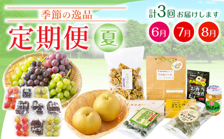 C2 【3回定期便】季節の逸品 夏 フルーツ 詰め合わせ すもも ぶどう デラウェア 梨