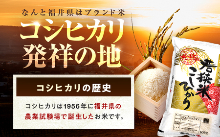 【新米】【6回定期便/2ヵ月に1回】 福井県産 コシヒカリ 精米 (白米) 10kg 一等級　福井県米 /甘みと粘りが際立つ 王道米 こしひかり 小浜市 / 若狭ふれあい市場[BFEL033]