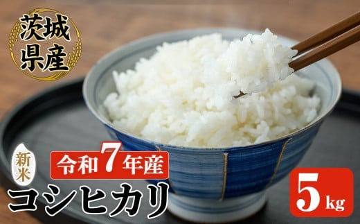 【先行予約】 常陸大宮産 コシヒカリ 5kg 米 お米 新米 令和7年 精米 白米 米 こめ コメ ご飯 ごはん コシヒカリ こしひかり 5kg 5キロ【JA常陸　常陸農業協同組合】【ho1574】