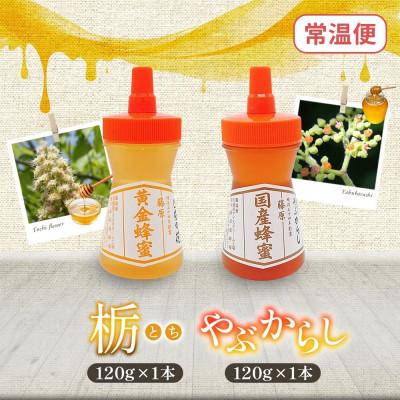 ふるさと納税 盛岡市 藤原国産蜂蜜 栃&やぶからし 計240g 完熟 単花蜜 藤原養蜂場 岩手県盛岡市 |  | 03