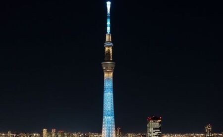 宿泊券 東京 第一ホテル両国 スカイツリービュールーム指定プラン 食事なし ペア チケット 2名様 ツインルーム ギフト プレゼント SKYTREE　【 墨田区 】 