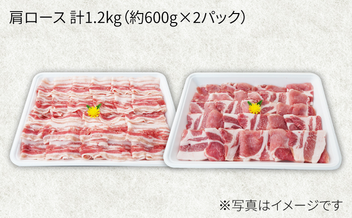【12回定期便】大西海SPF豚 肩ロース（焼肉＆しゃぶしゃぶ用）計1.2kg 訳あり ＜大西海ファーム＞ [CEK124] 豚肉