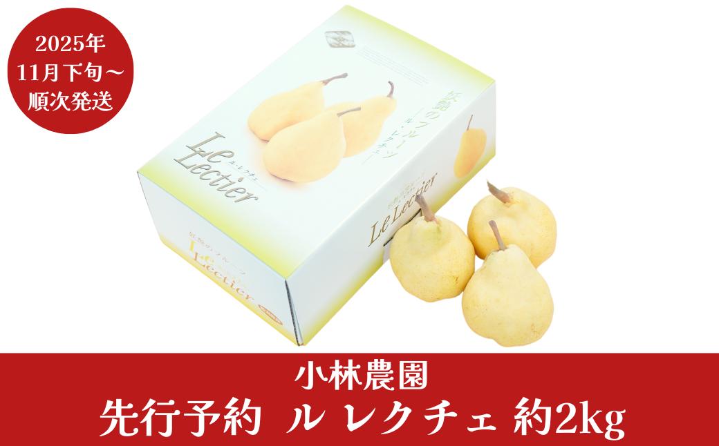 
            先行予約 ル レクチェ 約2kg [11月下旬から発送予定]  令和7年度 4～7玉 幻の西洋梨 ル・レクチェ 洋梨の貴婦人 新潟県産 洋梨 [小林農園] 【011P008】
          