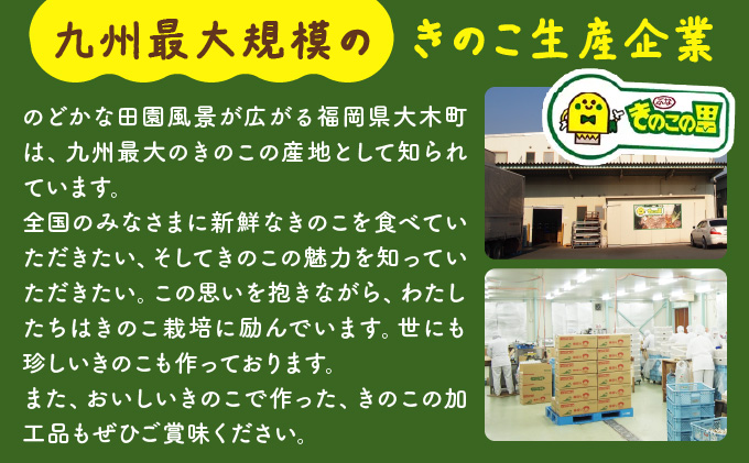 本格！手作り白菜キムチ2kg(150ｇ×14パック)AT13