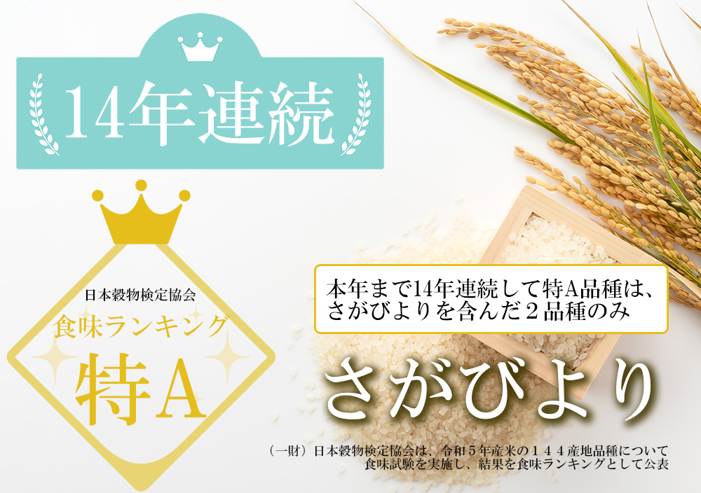 CID40_【６回定期便】さがびより白米５kg 【五つ星お米マイスター厳選！】
