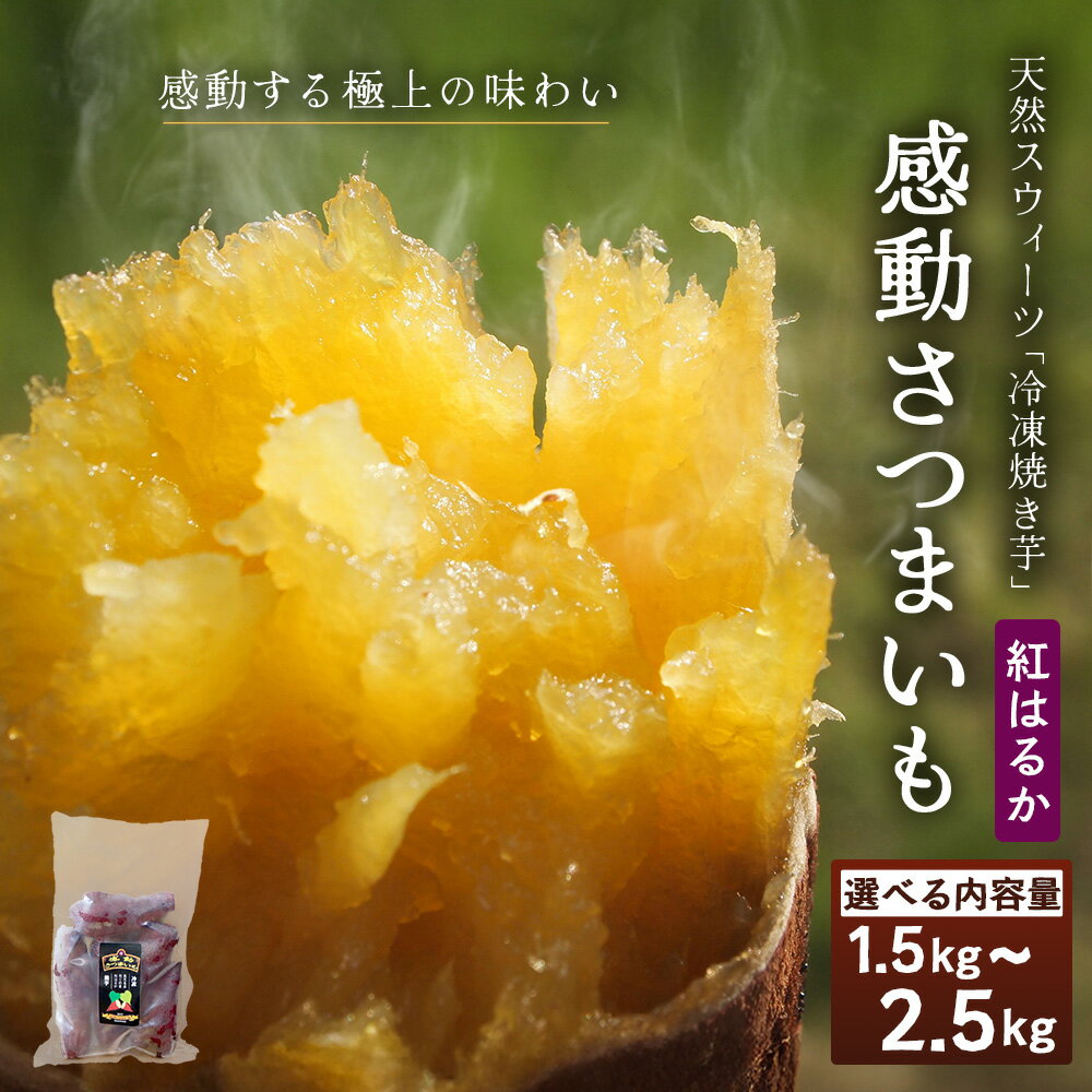 【ふるさと納税】【冷凍焼芋】感動さつまいも 熟成紅はるか(選べる内容量！500g×3・500g×5) | サツマイモ 焼き芋 熟成芋 長期熟成 冷凍 スイーツ お菓子 甘い お中元 お歳暮 ギフト プレゼント 保存料不使用 鹿児島県 南大隅町 株式会社フォレスト