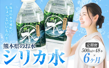 【6ヶ月定期便】 水 シリカ水 500ml × 48本 × 年6回 有限会社七城町特産品センター メロンドーム 《お申し込みの翌月から出荷》 熊本県 菊池市 水 軟水 飲料 ドリンク 清涼飲料水 天然地下水 ペットボトル ミネラルウォーター 定期便 送料無料
