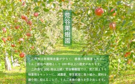 【訳あり】 紅いわて 約5kg 家庭用／わけあり りんご リンゴ フルーツ 果物 岩手 【2025年9月上旬－10月上旬発送予定】