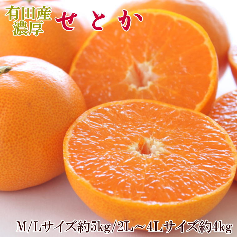 一度は食べていただきたい「有田産のせとか」約4kg～5kg（サイズおまかせ・青秀以上） ※2026年2月中旬～3月中旬頃に順次発送予定
