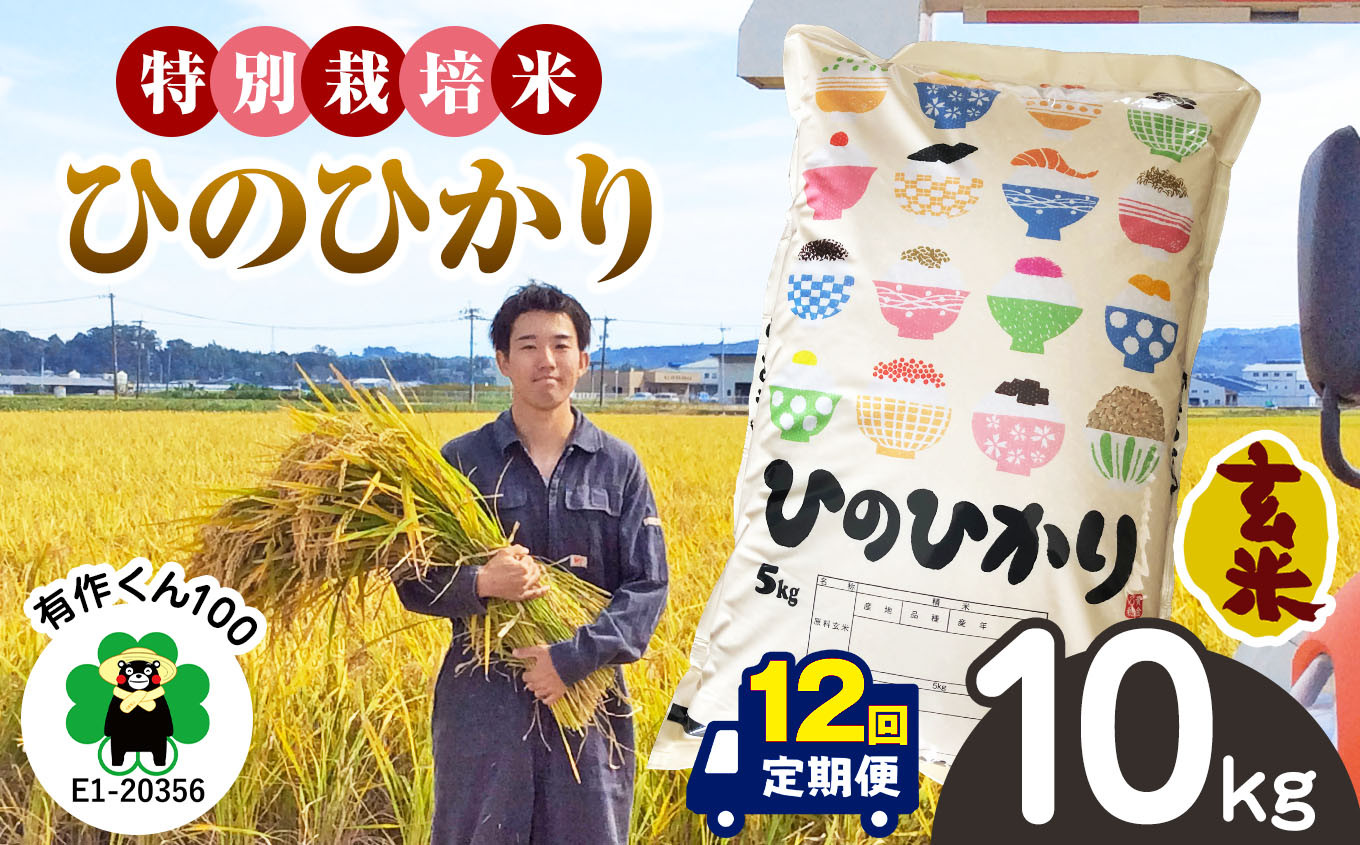 
            特別栽培米 「 玄米ひのひかり 」 10kg×12回 | 米 こめ お米 おこめ 玄米 ひのひかり 特別栽培 10kg 12回 定期便 定期 熊本県 玉名市
          