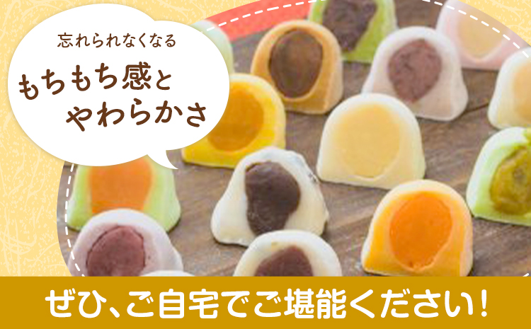 ソフト大福 8個入り もち米の里ふうれん特産館《30日以内に出荷予定(土日祝除く)》北海道 名寄市 和菓子 大福 お茶菓子 あんこ 餡 もち もち米 食べ比べ 贈り物 プレゼント 送料無料---nay