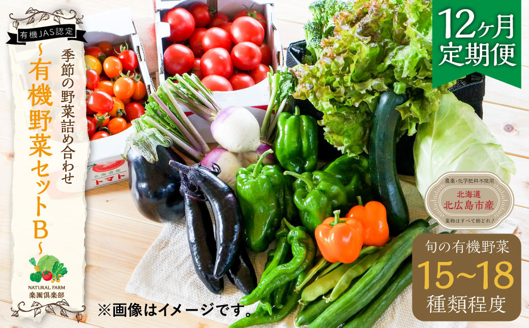 
【12ヶ月定期便】有機JAS認定 季節の野菜 詰め合わせ～有機野菜セットB～ 北海道北広島市
