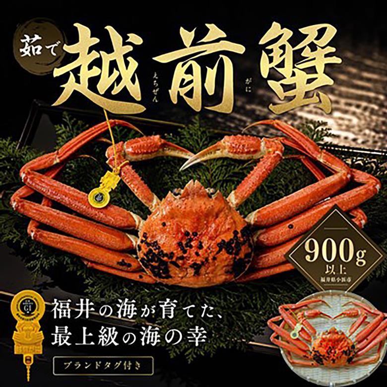 【先行予約/11月18日より順次配送】越前がに 900g×1杯 茹で 福井県産ズワイガニ / かに カニ 蟹 越前ガニ ズワイガニ ボイル / 小浜市 / 一進わかさ【配送不可地域：北海道・沖縄・離島
