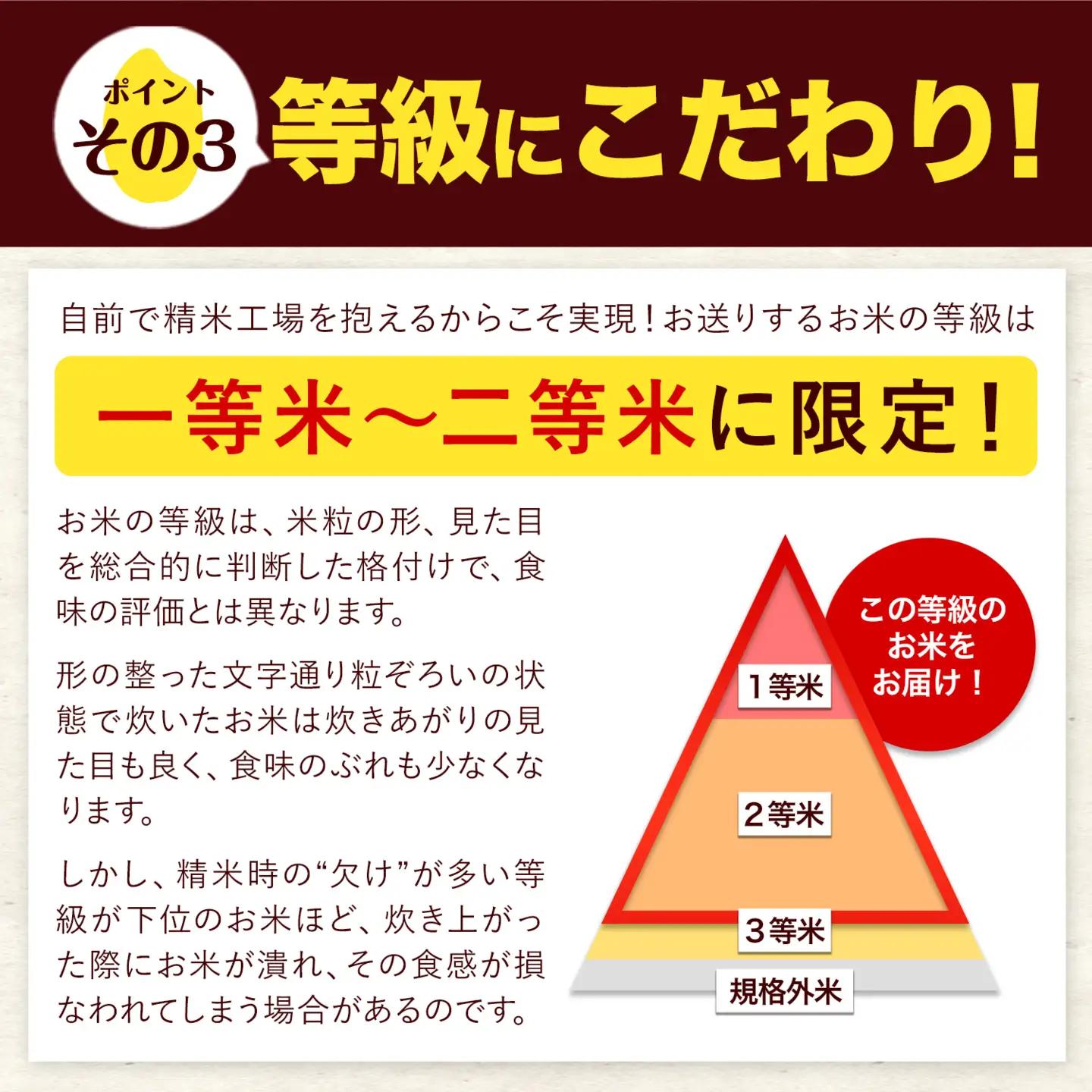 令和7年産 【18ヶ月定期便】 ひのひかり 白米 20kg《お申込み翌月から出荷》