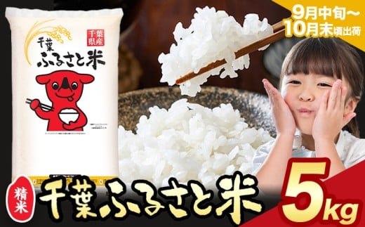 令和6年産 米 千葉 ふるさと米 5kg《9月中旬-10月末頃出荷》千葉県 勝浦市 米 白米 精米 国産 お米 おこめ お弁当 おにぎり こしひかり