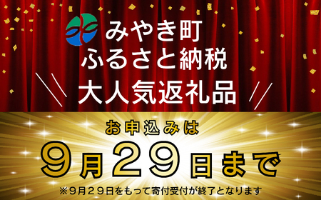 FM069_伝統酵母　うなぎの蒲焼　千栗　220g×２