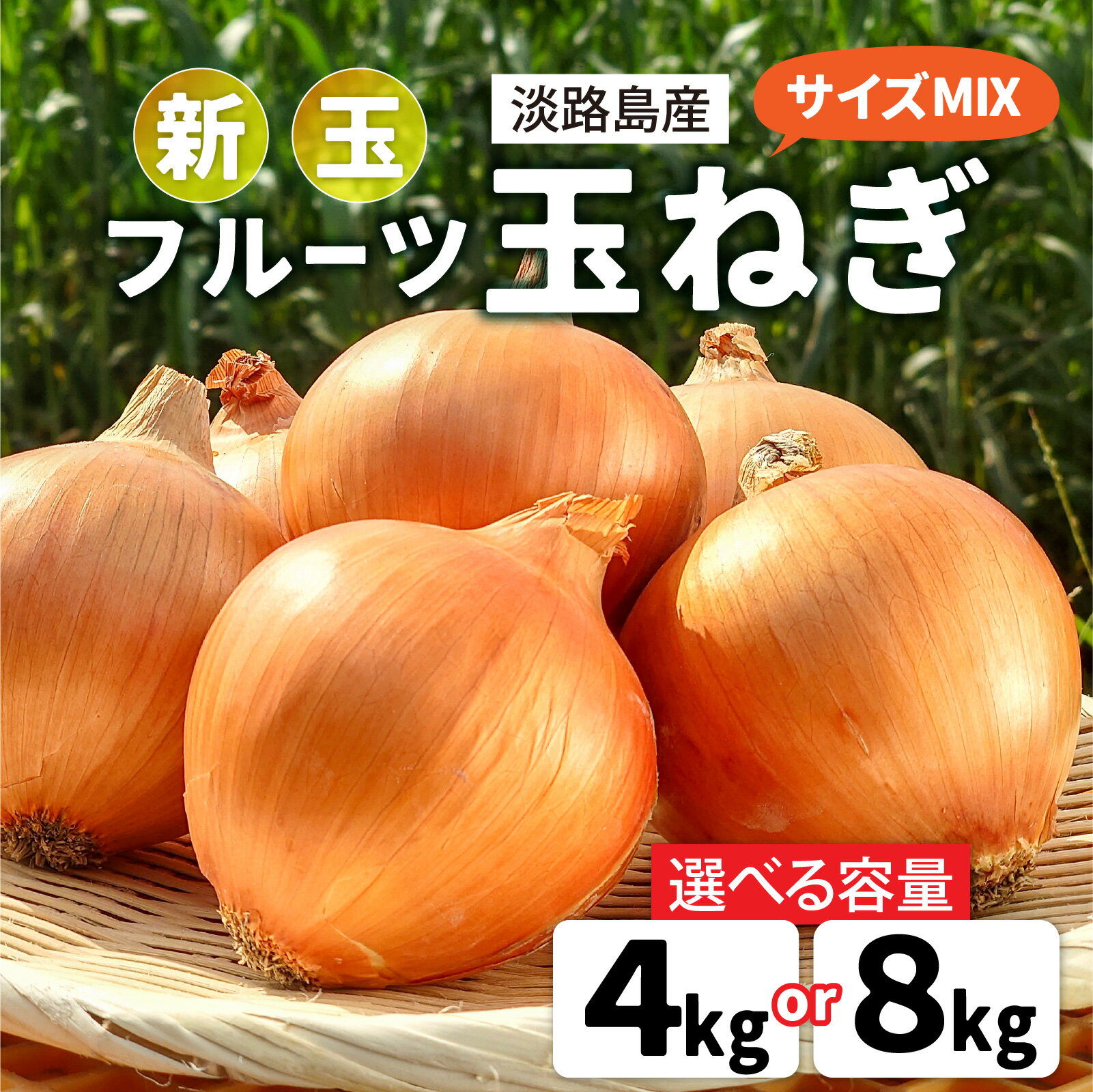 【ふるさと納税】【 5月31日まで「新玉ねぎ」を受付 】フルーツ玉ねぎ 淡路島産 選べる容量（4kg／8kg）【サイズ色々】 玉ねぎ タマネギ 淡路島の玉ねぎ 玉葱 カレー シチュー バーベキュー 料理 保存 スープ サラダ人気 料理 送料無料