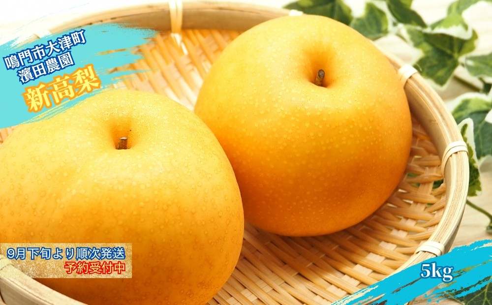 
            【予約受付中】濱田農園 新高梨 約 5kg 【数量限定】【9月下旬より順次発送】 フルーツ 果物 梨 ナシ 完熟梨 季節の梨 旬の梨 秋の梨 鳴門の梨 完熟果物 季節の果物 旬の果物 秋の果物 鳴門の果物 完熟フルーツ 季節のフルーツ 旬のフルーツ 秋のフルーツ 鳴門のフルーツ 濱田農園の果物 濱田農園のフルーツ
          